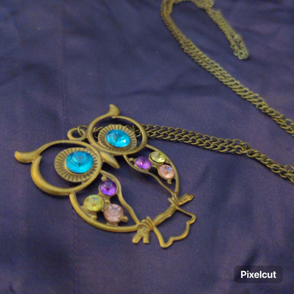 Rhinestone and Metal frame Owl necklace